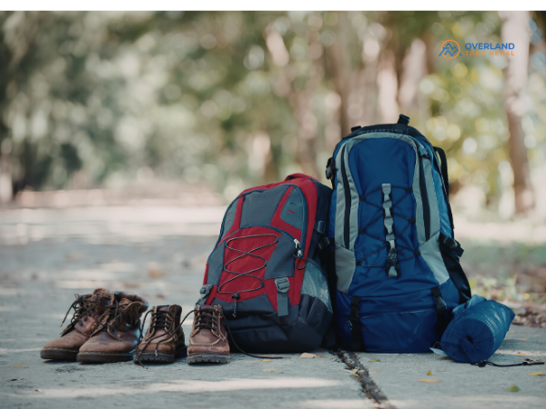 Backpacks and Luggage