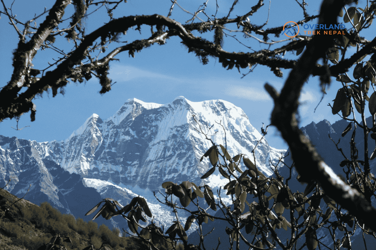 Mera Peak