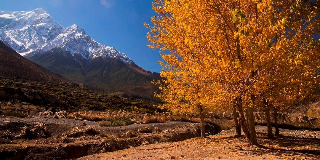 Autumn (September to November)